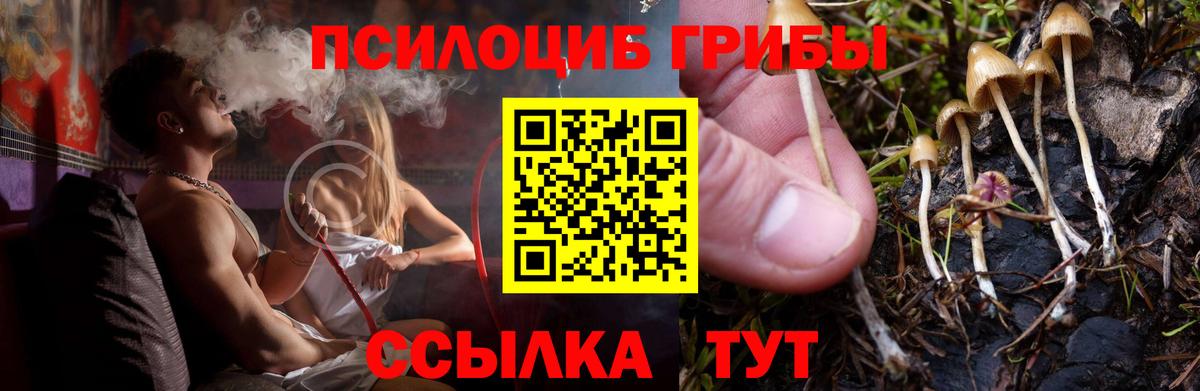 Галлюциногенные грибы MAGIC MUSHROOMS Новочеркасск