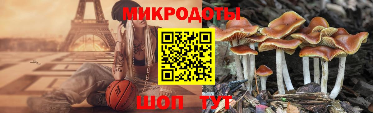 Новочеркасск  Галлюциногенные грибы Magic Shrooms  Вход с VPN 